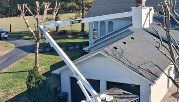 Tree Removal for Optimum Tree Service And Landscaping in Bowling Green, KY