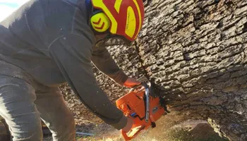 Tree Removal for Smith Tree Experts in Palmyra, VA