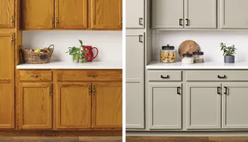 Interior Painting for Pardon My Painting in St. Petersburg, FL