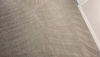 Commercial Carpet Cleaning for Lloyd Carpet Cleaning in Lake Dallas, TX