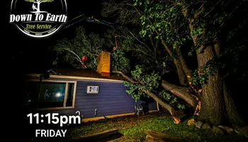 Tree Removal for Down To Earth Tree Service in Red Wing, MN