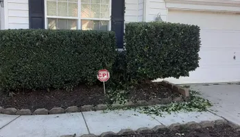 Tree Removal for Oakhurst Landscaping and Tree Service in Charlotte, NC