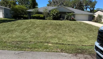 Tree Removal for CFS Services in Fort Meade, FL