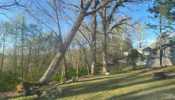 Tree Removal for Lucky’s Tree Removal and Landscape Services in Knoxville, TN