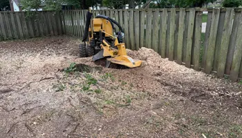 Stump Removal for Conrad's Stump Removal in Columbus, IN
