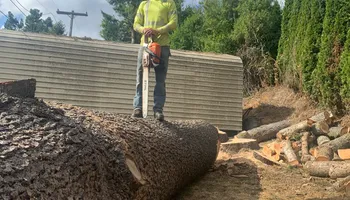 Tree Removal for Ascension Tree Care LLC in Yakima County, WA
