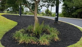 Landscape Maintenance for Nature's Way Landscaping & Maintenance, LLC in Augusta, Georgia