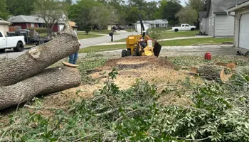Tree Removal for Top Notch Tree Experts in Orange Park, FL