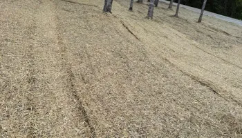 Land Clearing for S&M DIRT TECH LLC in Knoxville, TN