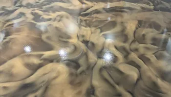 Concrete Sealing for Yellow Brick Road in Cookeville, TN