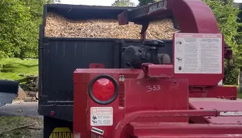 Tree Removal for Mario's Tree Service in Richmond, VA