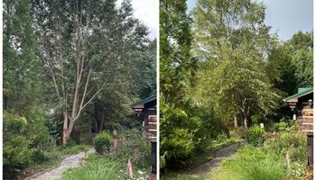 Landscape Installation for Gatrell Landscape & Tree Removal in Bluff City, TN