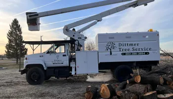 Tree Removal for Dittmer Tree Service in Davenport, IA