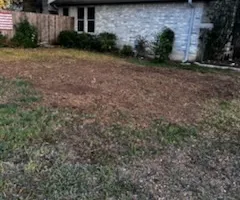 Tree Removal for Oakley’s Stump ‘N Grind in Leander, TX