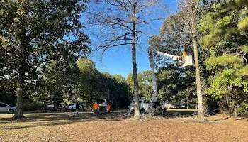 Tree Removal for Ross Family Tree Service LLC  in Hohenwald, TN