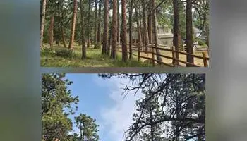 Tree Removal for Family Tree & Landscape LLC in Aurora, CO
