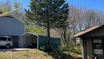 Tree Removal for Lucky’s Tree Removal and Landscape Services in Knoxville, TN