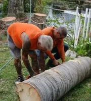 Tree Removal for ASAP Tree Service in Sebastian, FL