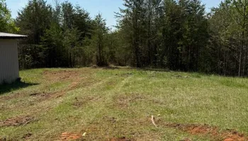 Tree Removal for Brooks Tree Service in Casar, NC