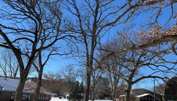 Tree Removal for Fransen's Tree Service  in Freeport, IL