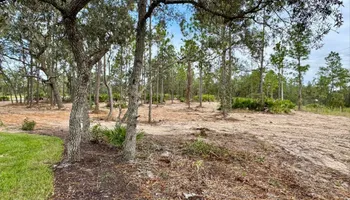 Land Clearing & Demolition for All American Excavating Inc in Brooksville,  FL