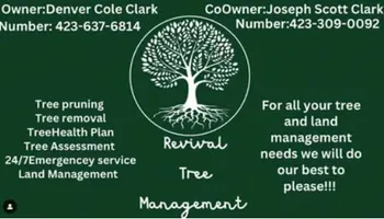 Tree Removal for Revival Tree Management in Chattanooga, TN