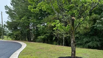 Landscape Maintenance for Nature's Way Landscaping & Maintenance, LLC in Augusta, Georgia
