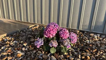 Custom Waterfall Installations for Hawes Design & Build in Hannibal, MO