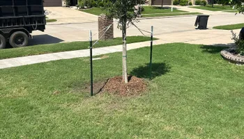Tree Removal & Trimming for Teague Trees and Land Clearing in Rendon, TX