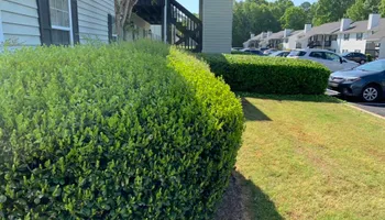 Mowing for Bega Landscape Services in Atlanta, Georgia