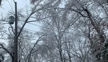 Land Clearing for Mud Creek Vegetation Management in Russellville, AL
