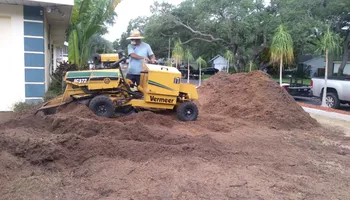 Stump Grinding for Busy Beaver Stump Removal, Inc in Clearwater, FL