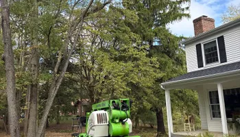 Tree Removal for Fransen's Tree Service  in Freeport, IL