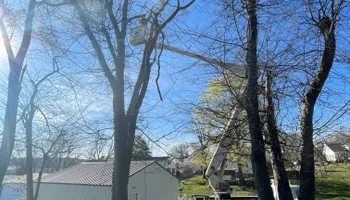 Tree Removal for Ross Family Tree Service LLC  in Hohenwald, TN