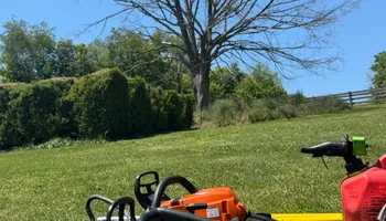 Tree Removal for Precision Cutz Tree Services, LLC in Coeburn, VA