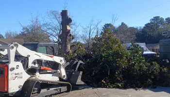 Tree Removal for Kingdom Riderz Hauling And Tree Service in Tar Heel, NC