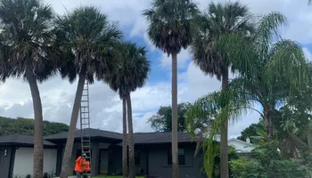 Mowing for All of the Above Landscaping in Orange Park, FL