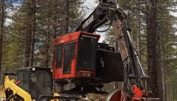 Tree Removal for Bailey's Cutting LLC in Bend, Oregon