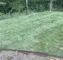 Landscape Design for Olmedo Home Services in Davie County, NC