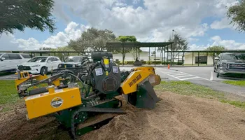 Tree Removal for Outdoor Solutions Of The Glades in Hendry County, FL