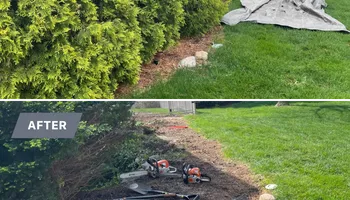 Landscape Design for MDR Landscaping in Urbana, IL