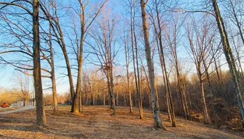 Land Clearing & Demolition for Green Land Management in Mount Pleasant, TN