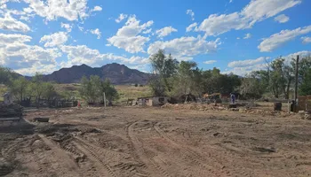 Tree Removal for Langston Tree & Landscape LLC in Canon City, CO