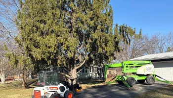 Tree Removal for Fransen's Tree Service  in Freeport, IL