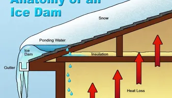 Tree Removal for Allstate Tree Service and Crane in Spring Lake Park, MN