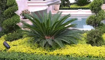Lawn Maintenance for EAH Landscaping Services in Germantown, MD