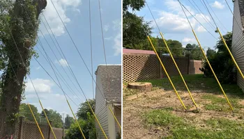 Tree Removal for Thompson Tree Climbers, LLC in Lexington, SC