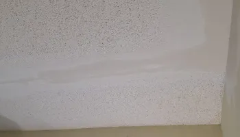 Drywall and Plastering for Precision Speed Coatings in Mount Carmel, IL