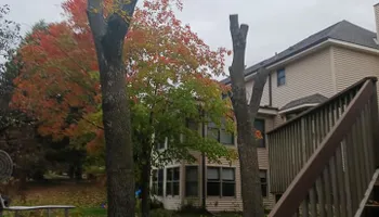 Tree Care for Buffalo Family Tree Care in Buffalo, MN