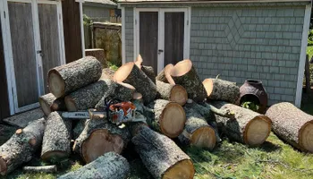 Tree Removal for Native Roots Tree Service in Falmouth, MA